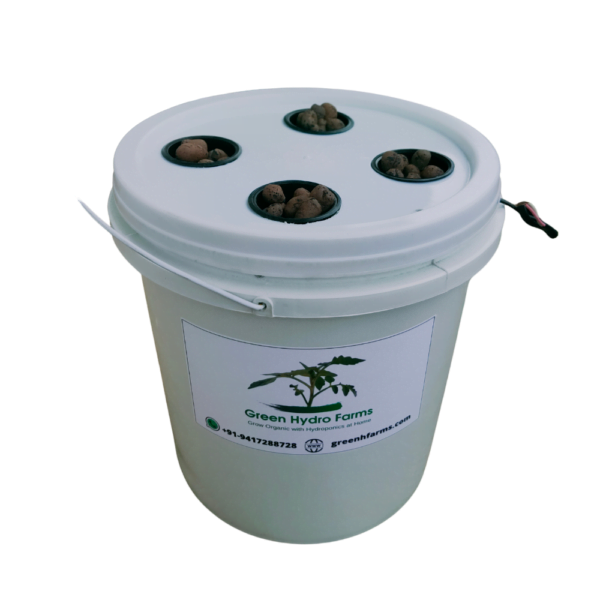 Hydroponics Home Grower Kit