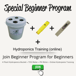 Hydroponics Grower Kit for Beginner