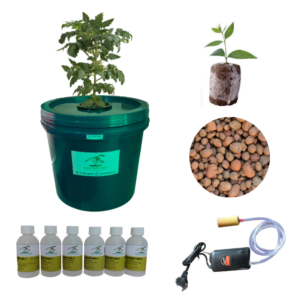 Kratky Hydroponics System | 15 Liter Bucket | Algae Free | Indoor + Outdoor Both use | Nutrient + Air Pump + Leca Balls + Net Cup + Coco Coin
