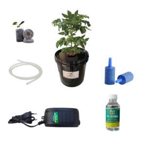 Hydroponic Dutch Bucket System - 10L Black, Food-Grade Material, Algae-Resistant with Lid